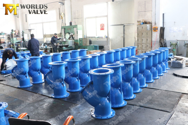 Gegoten nodulair gietijzer Y-type zeef met Ss-zeeffilter