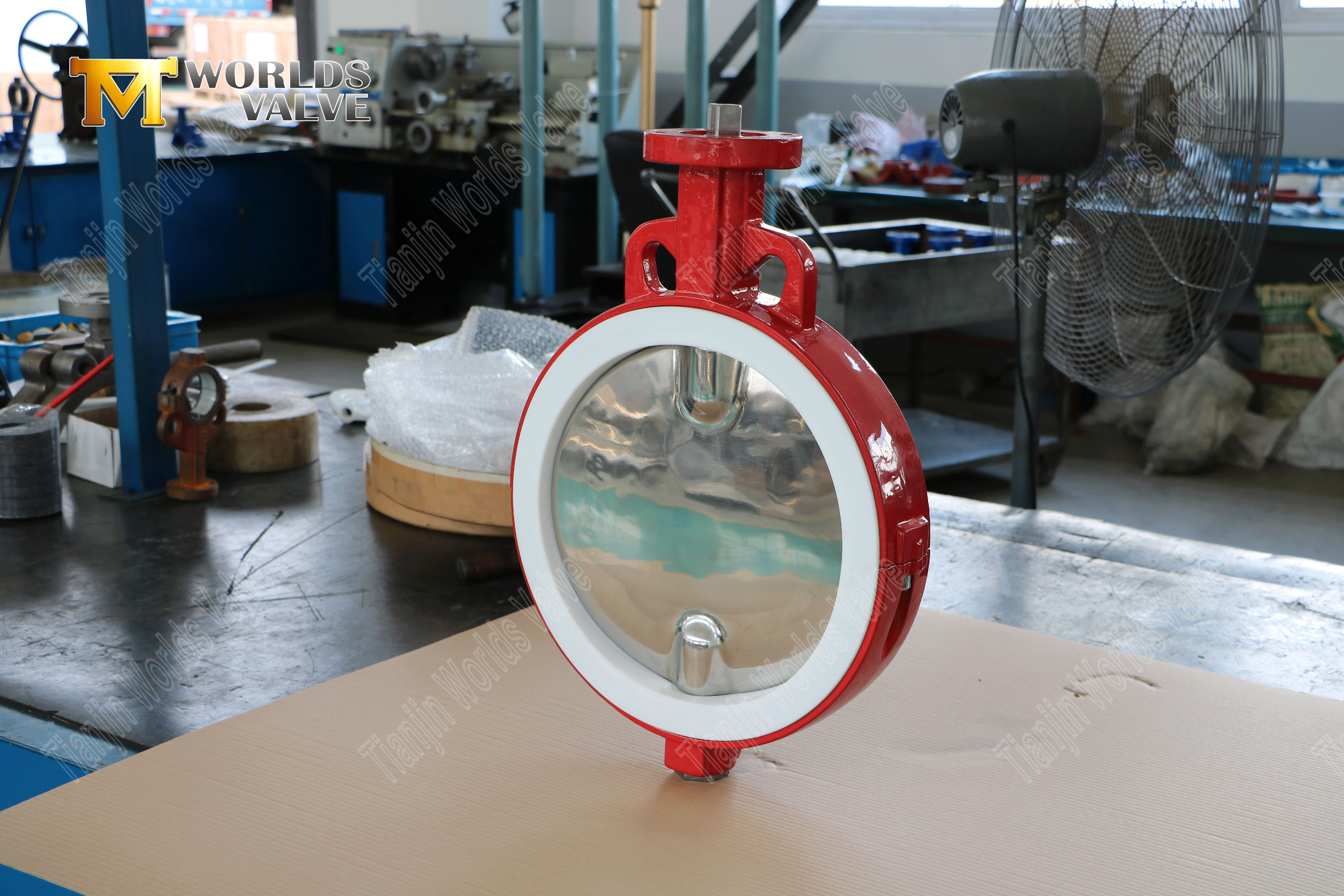PTFE gevoerde vlinderklep met gepolijste schijf en pneumatische actuator-1 (6)