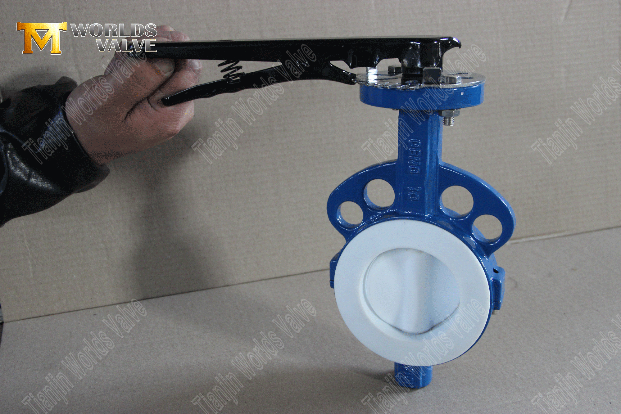 Ptfe-full-tolled-Wafer-Butterfly-VALVE- (6)