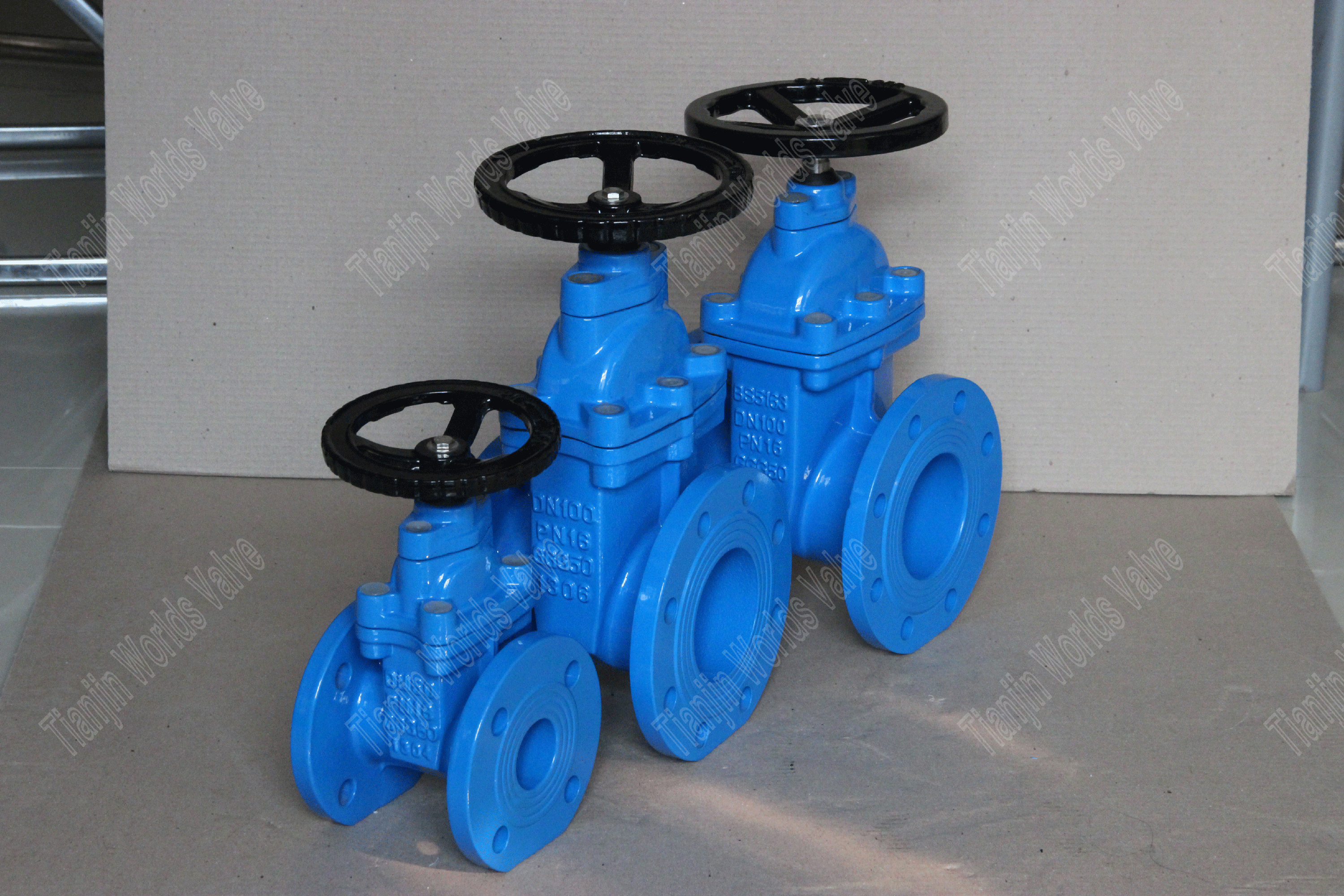 BS5163 EPDM ZITTE DI NIET RISHENS STEM GATE KLEPEN (6)