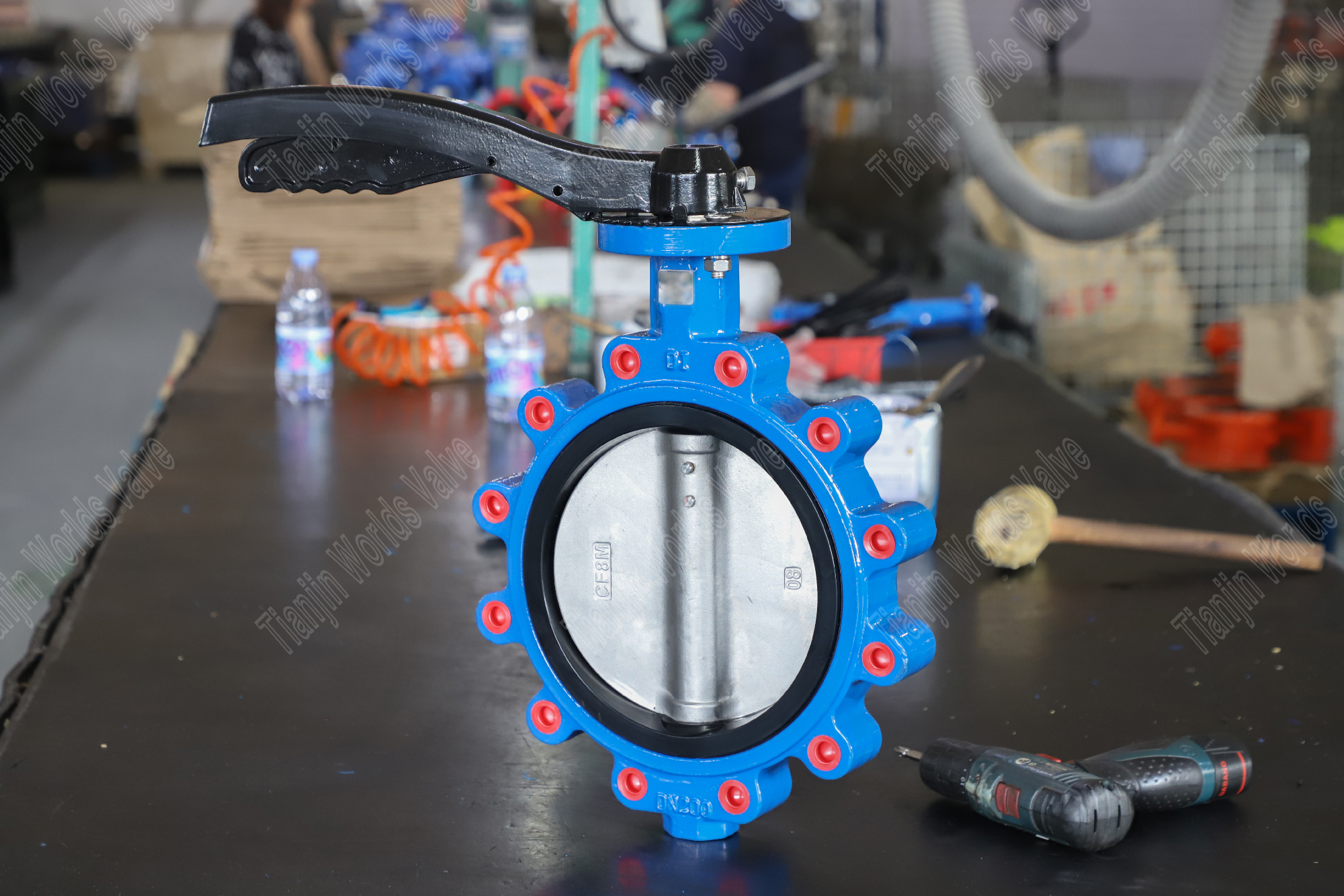 Lug Butterfly -klep met DI -kleplichaam en roestvrijstalen schijf door China Butterfly Valve Leverancier (1)