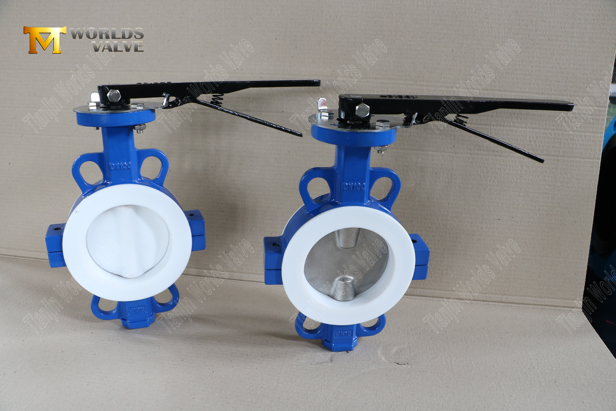 DN100-Teflon-gevoerde-wafer-split-body-butterfly-valves-Corrosie-resistent-flow-Control- (9)