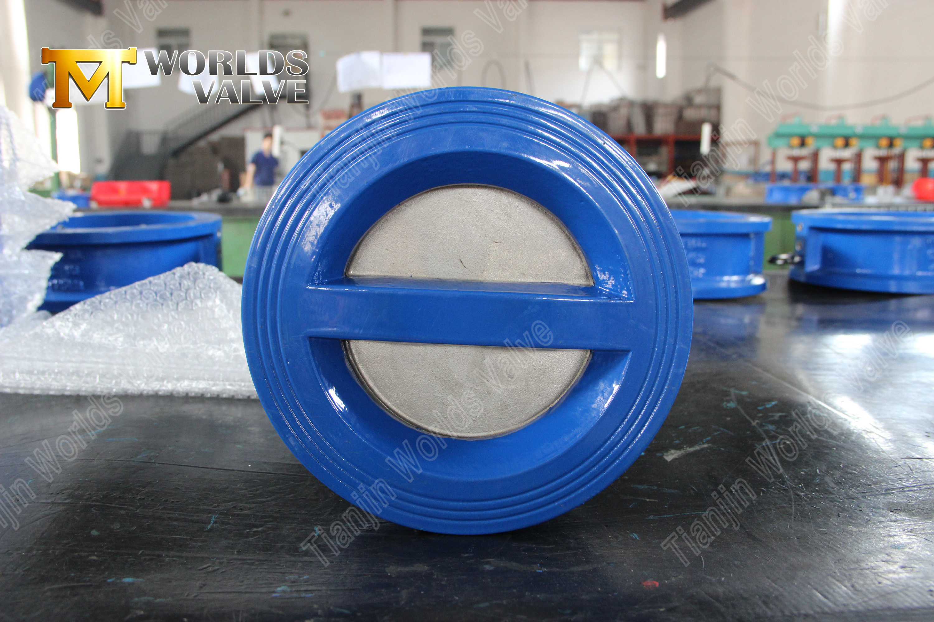 Roestvrij staal dubbele schijf wafel type niet-return klep nul-lekkage terugstroom preventie-1 (4)