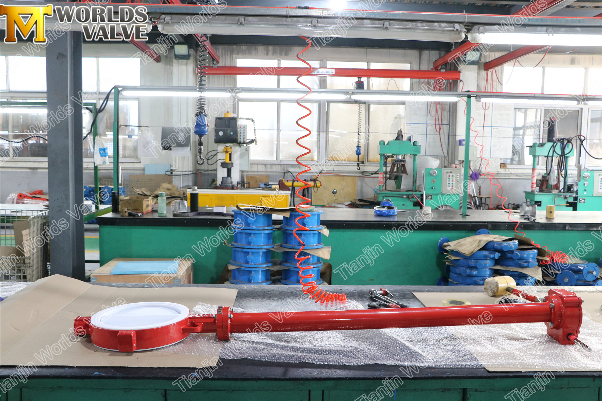 PTFE gevoerde vlinderklep met extensiestam (1)