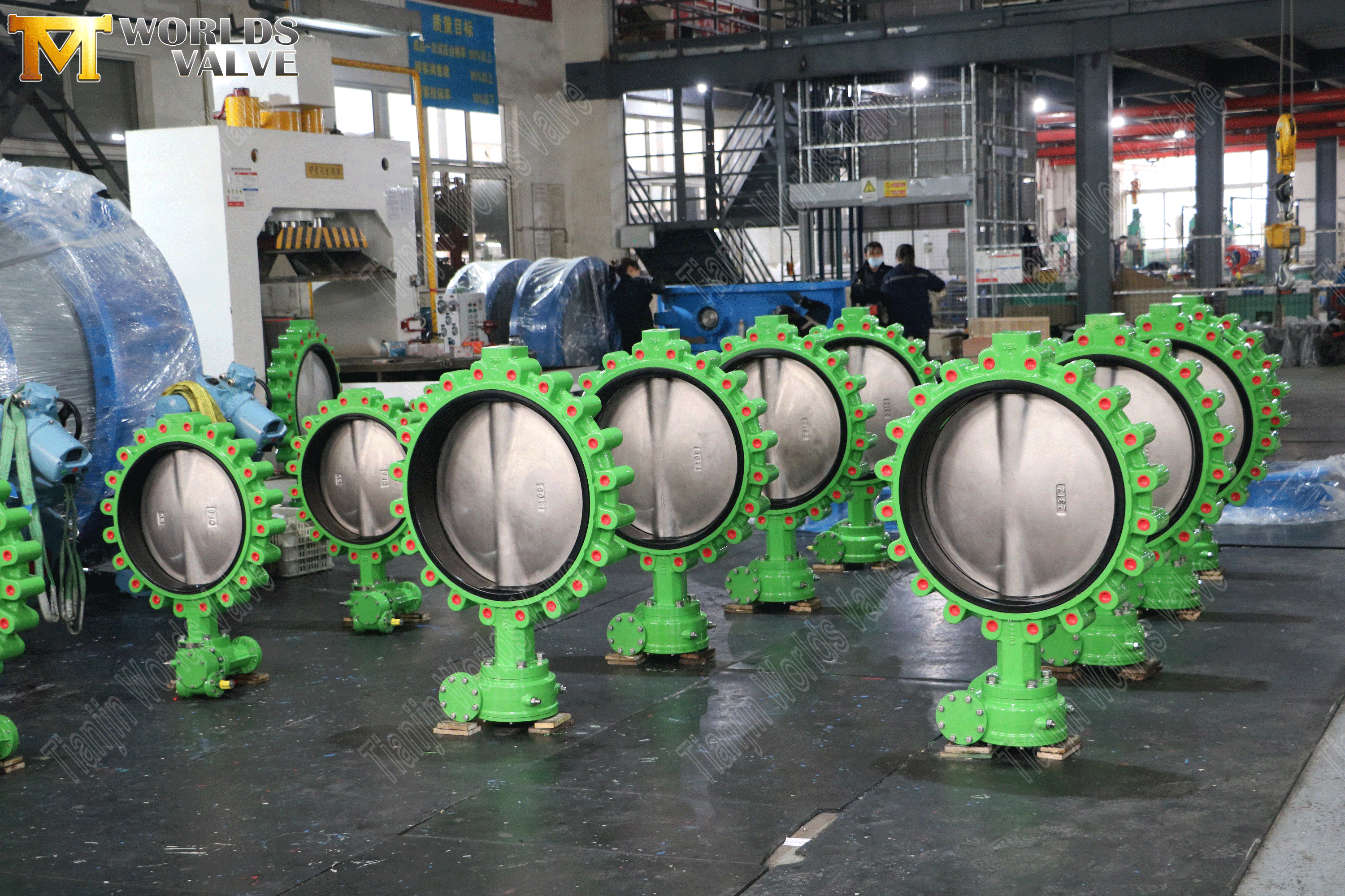 Lug concentrische vlindergolven met wormwieloperator (3)