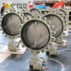 Viton / FKM / FPM Rubber Seat Butterfly Valve voor water