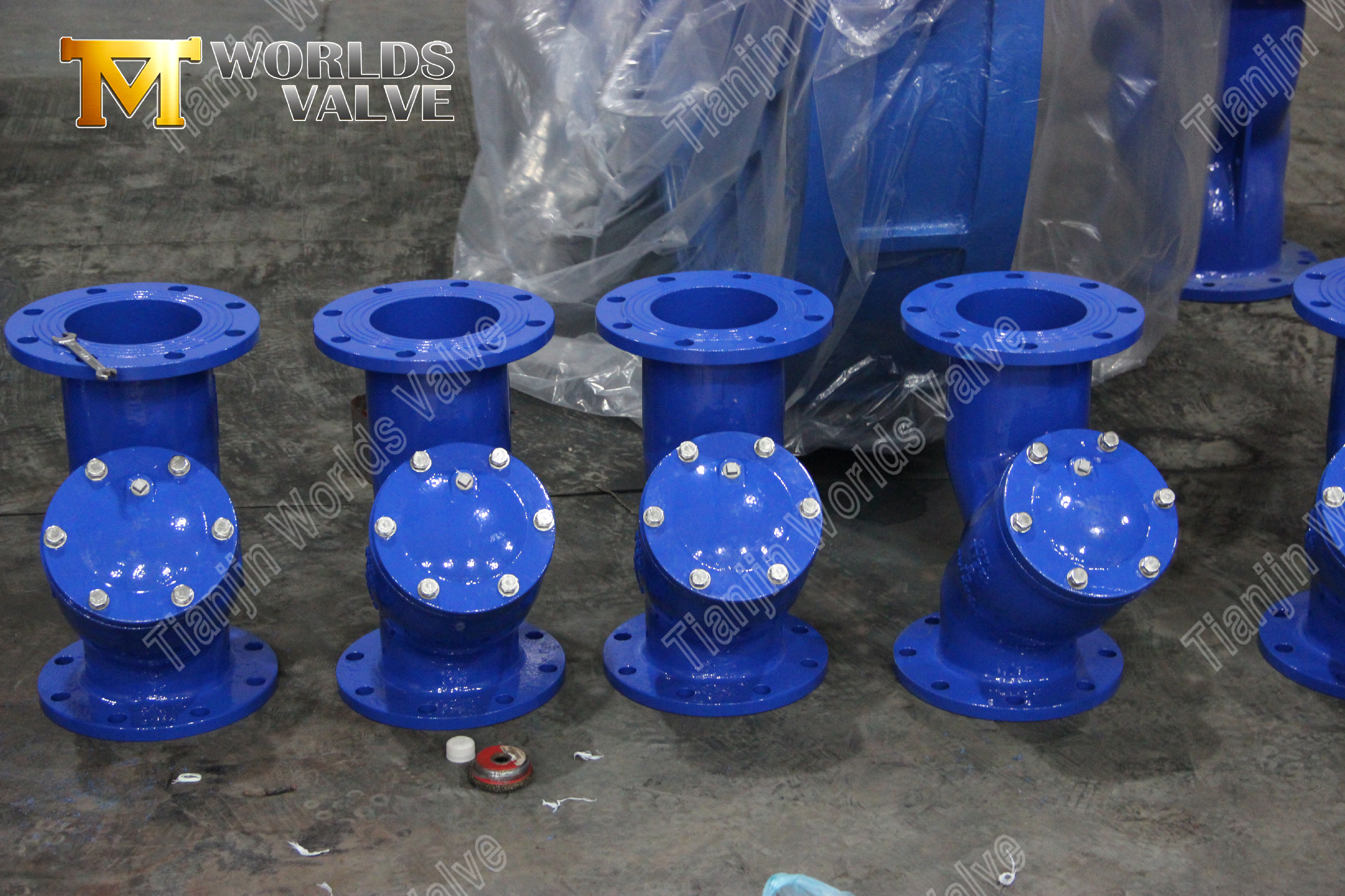 Van een flens voorzien Y-type Zeef WCB Koolstofstaal Industri&euml;le pijpleidingbescherming (7)