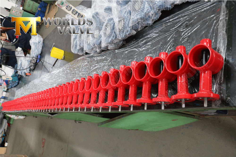 Gegroefde eindvlinderventiel voor brandbeveiliging (2)