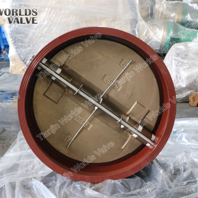 Terugslagklep met dubbele plaat PN10 PN16 KLASSE150