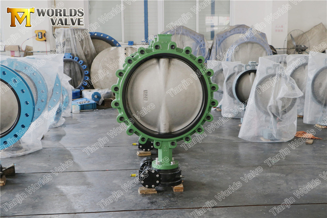 DN600 gesjouwde en getapte veerkrachtige vlinderklep