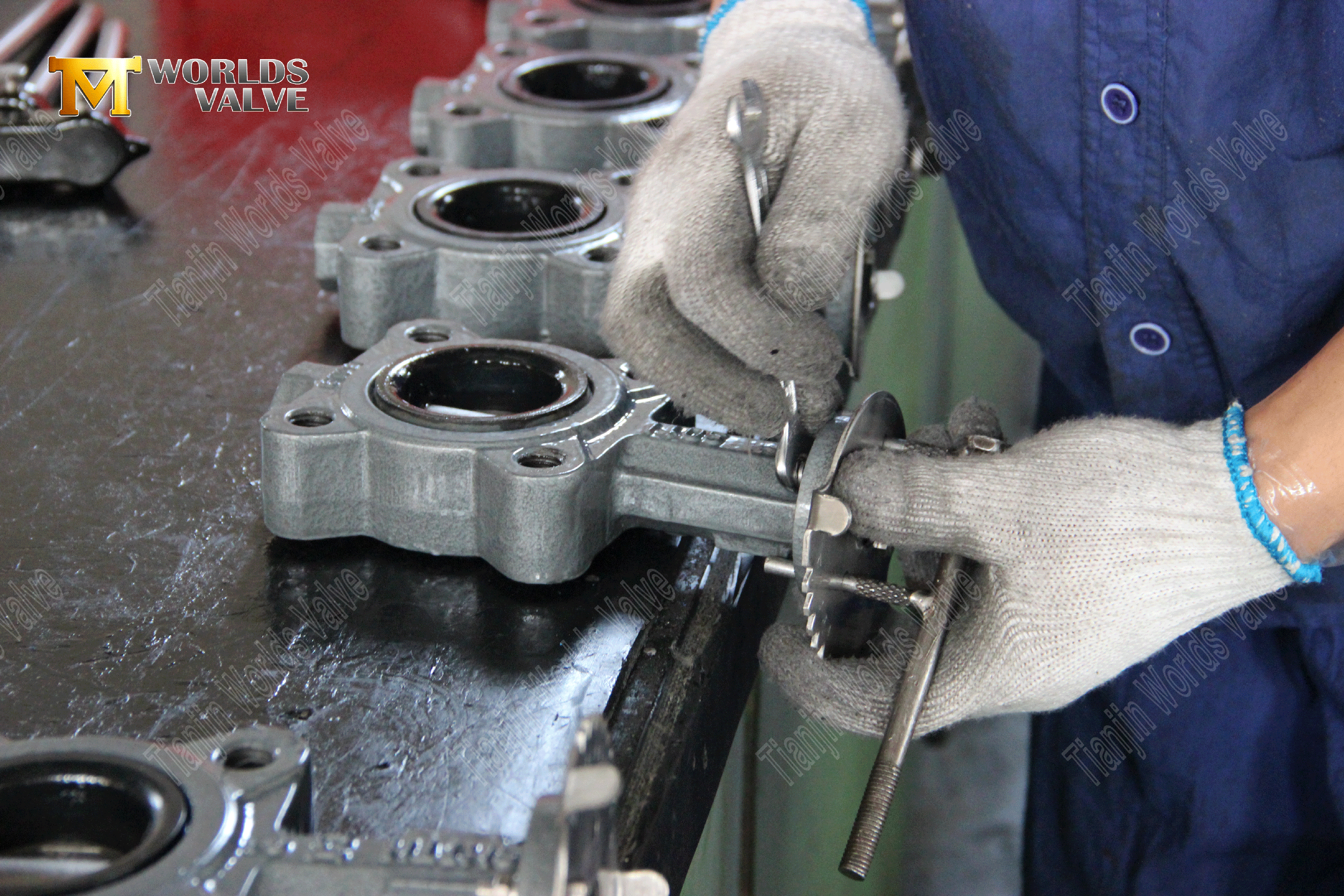 OEM ODM-klep fabrikant-lug-stijl veerkrachtige zittende vlinderkleppen (5)