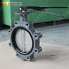 Lug-vlinderklep – CF8M-schijf, EPDM-zitting, klasse 150, OEM-fabrikant