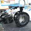 4 inch vlinderklep met dubbele flens – CF8 schijf, gevulkaniseerde zitting, ISO 5211