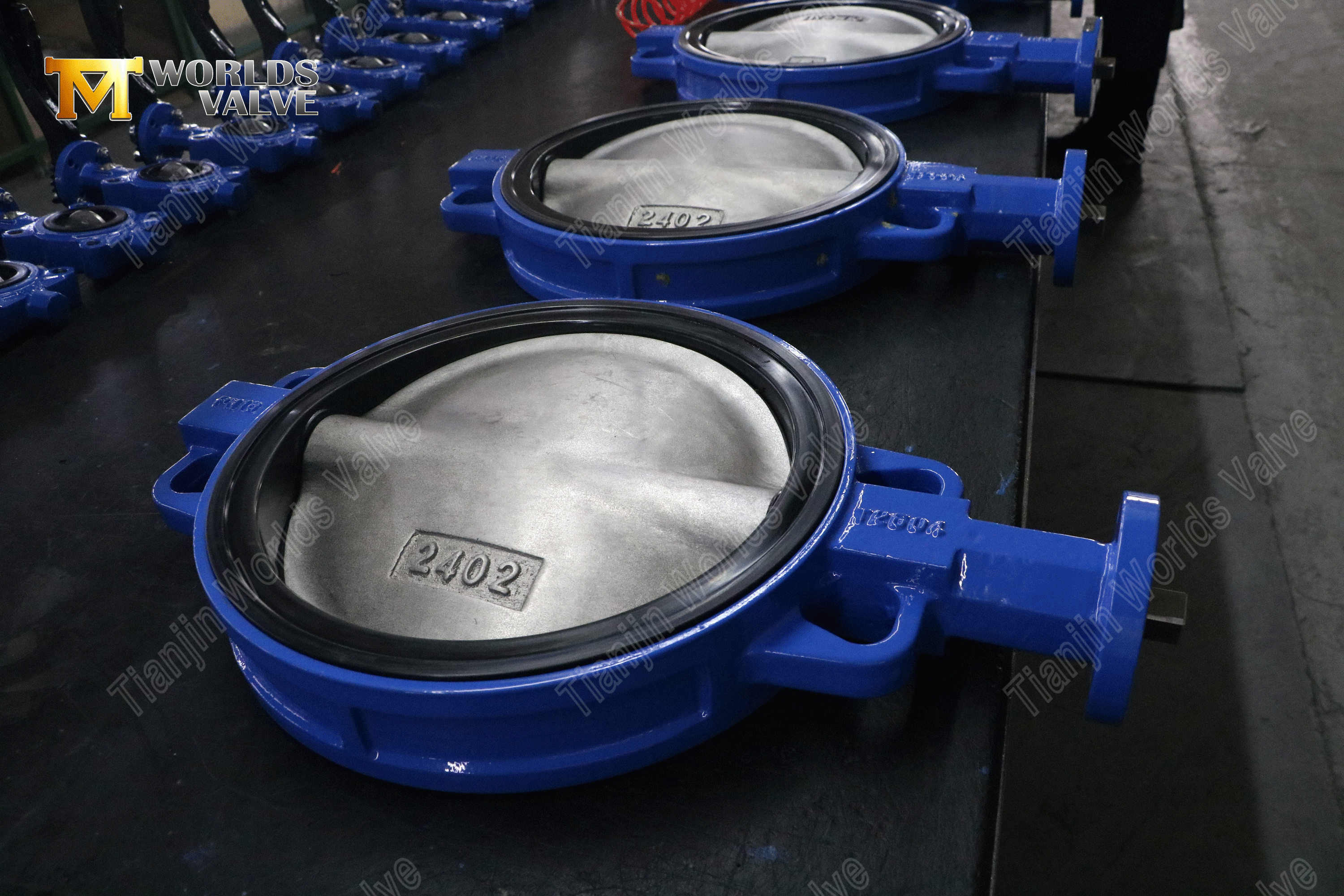 Tandwielaangedreven wafer-vlinderklep – vervangbare EPDM-zitting, PN10-1 (4).png