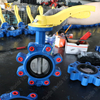 Lug vlinderklep | CF8M-schijf | PN16