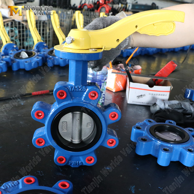 Lug vlinderklep | CF8M-schijf | PN16