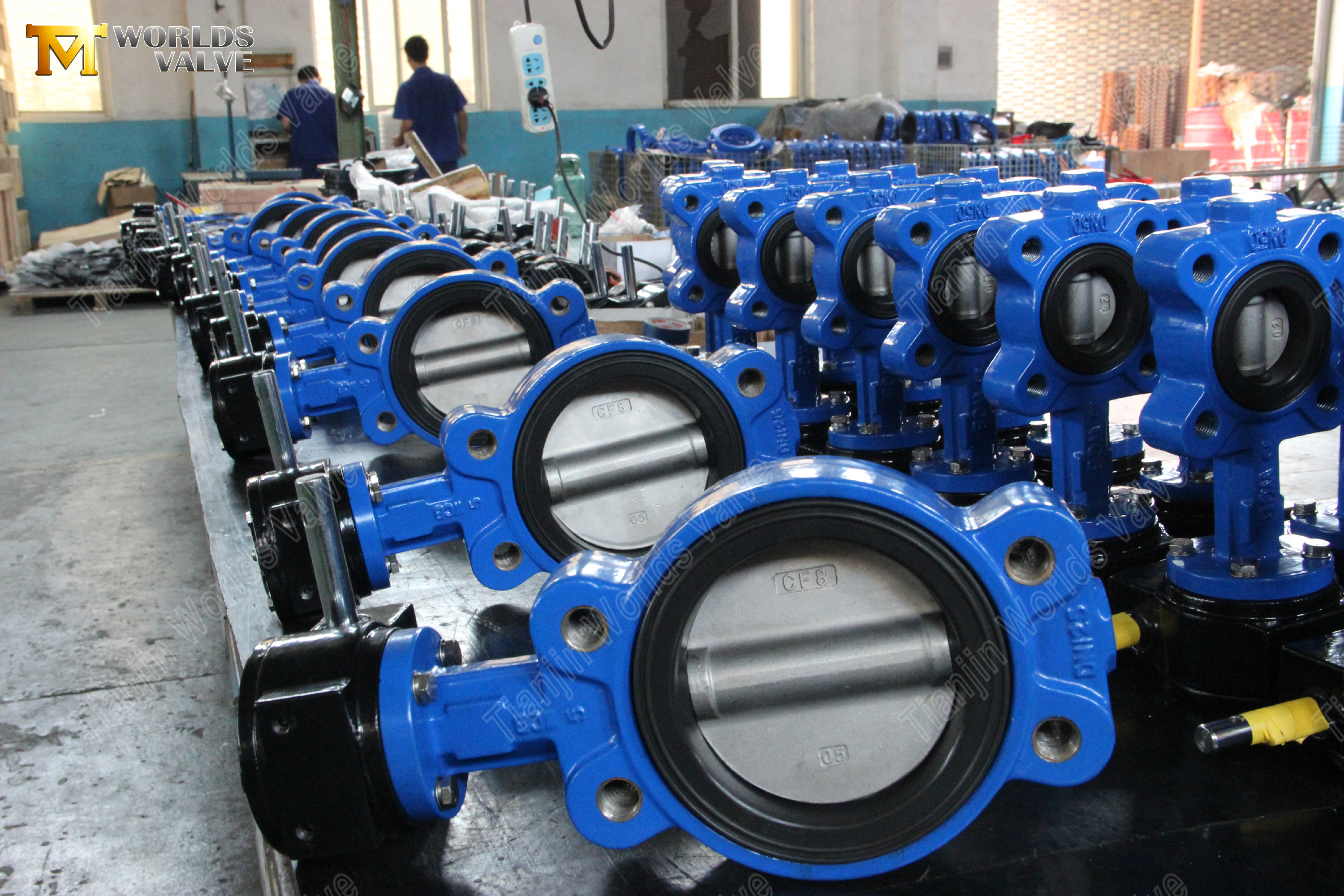 Semi-Lug-Type-Vlinderklep-met-Viton-zitting-(8).jpg
