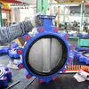 Lug-vlinderklep - NBR-zitting, CF8M-schijf, OEM-fabrikant