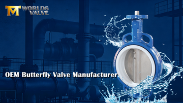 Butterfly Valve Growth Regions & Emerging Opportunities–OEM Manufacturer.png