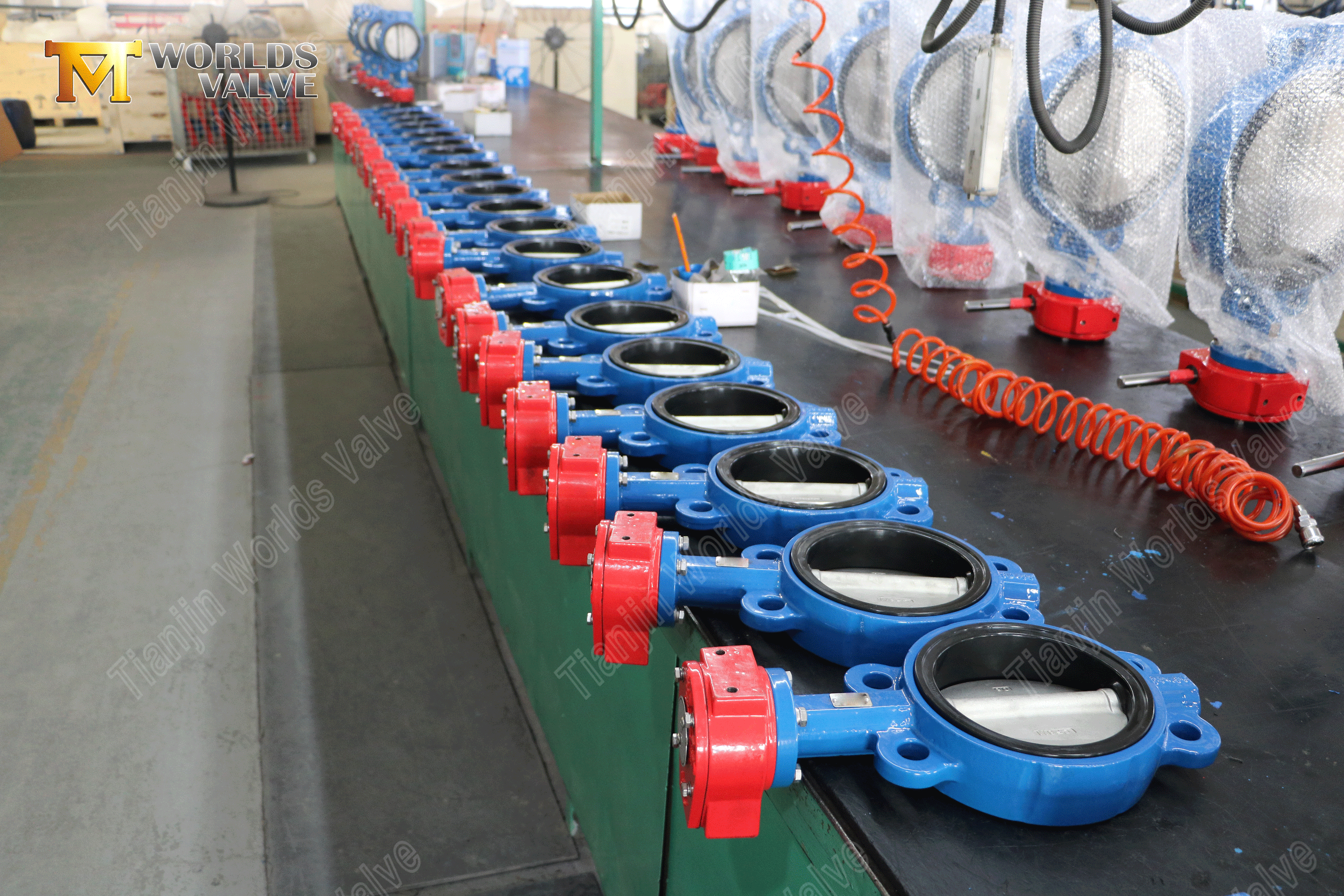 Tandwielaangedreven wafer-vlinderklep – vervangbare EPDM-zitting, PN10-1 (1).png
