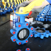 Lug vlinderklep | CF8M-schijf | PN16