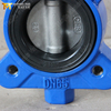 Semi-Lug vlinderklep | WCB-lichaam, CF8-schijf, Viton-stoel | Wormwiel DN150 10K