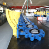 Lug vlinderklep | CF8M-schijf | PN16