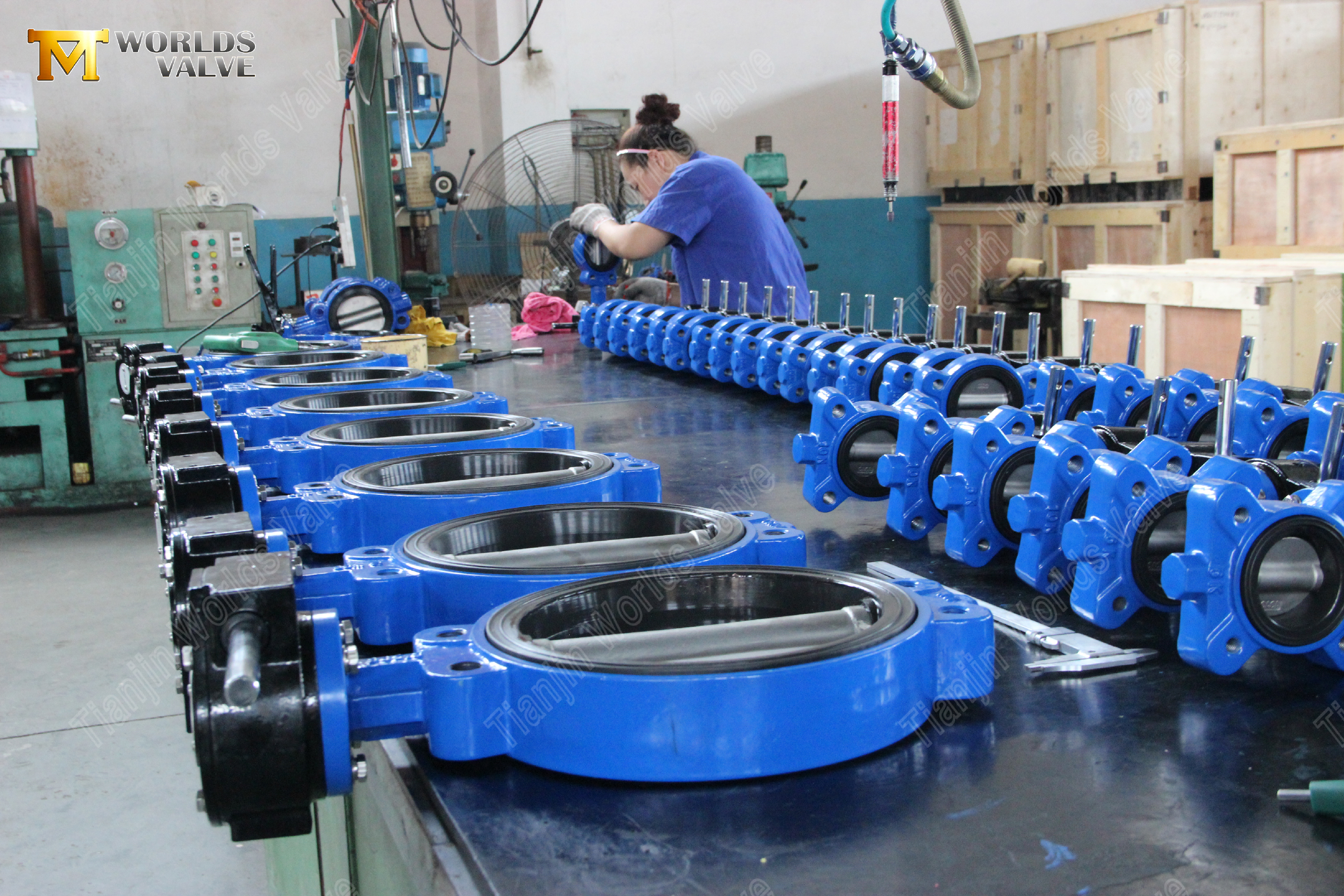 Semi-Lug-Type-Vlinderklep-met-Viton-zitting-(9).jpg