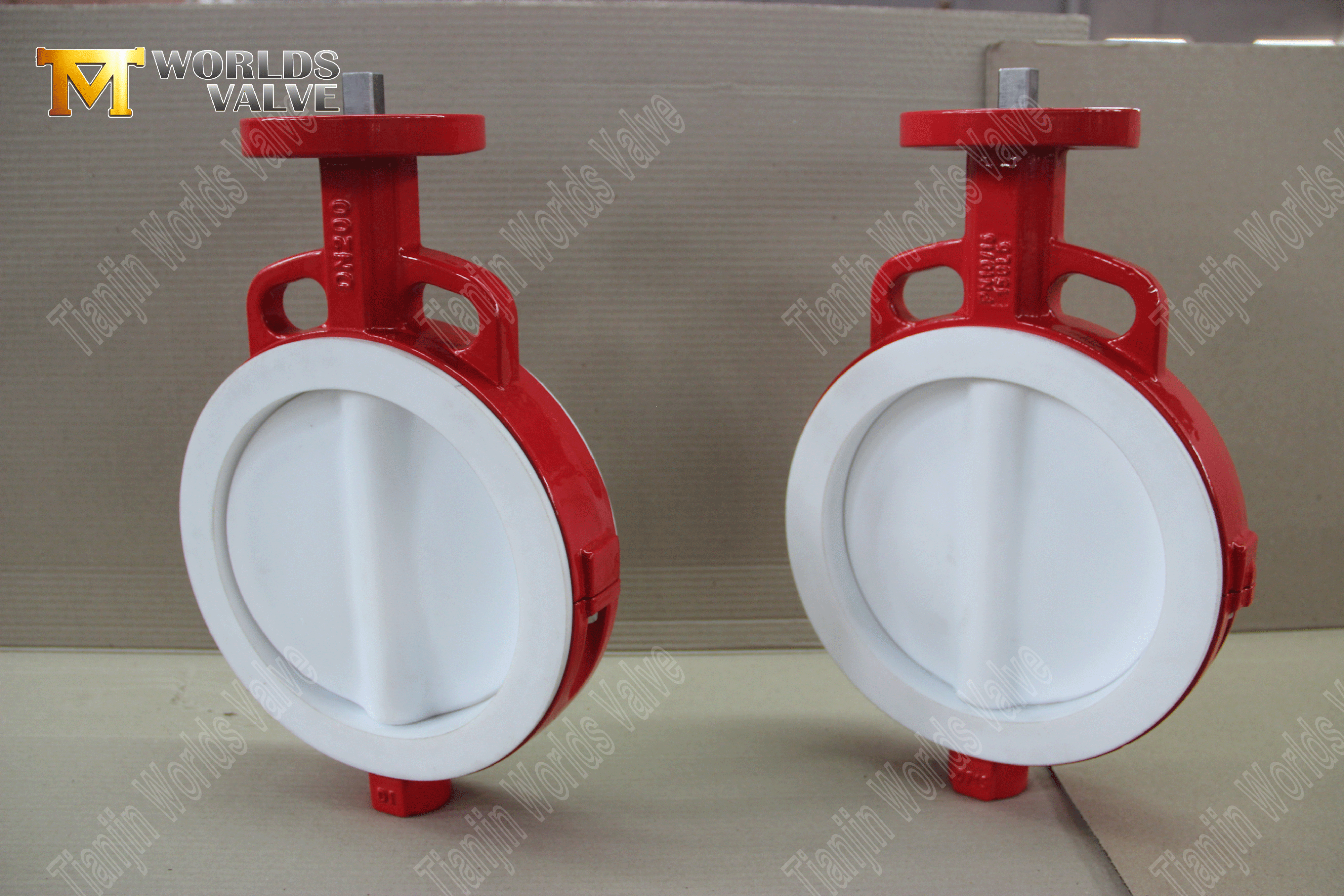 PTFE wafer vlinderklep – PTFE ingekapselde schijf, klasse 150, OEM-fabrikant (2).png