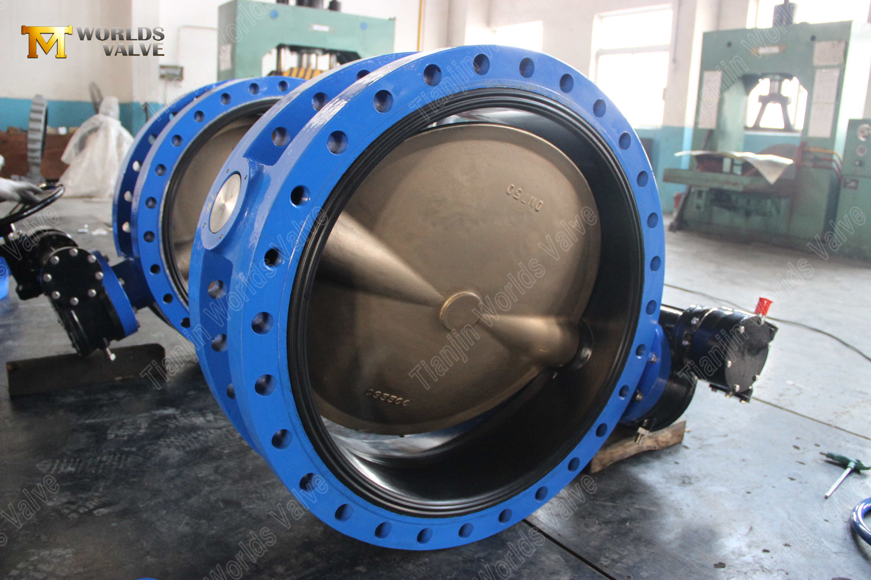 30 U-type vlinderklep C95500 Aluminium Brons Schijf Zeewaterbestendig (6).jpg