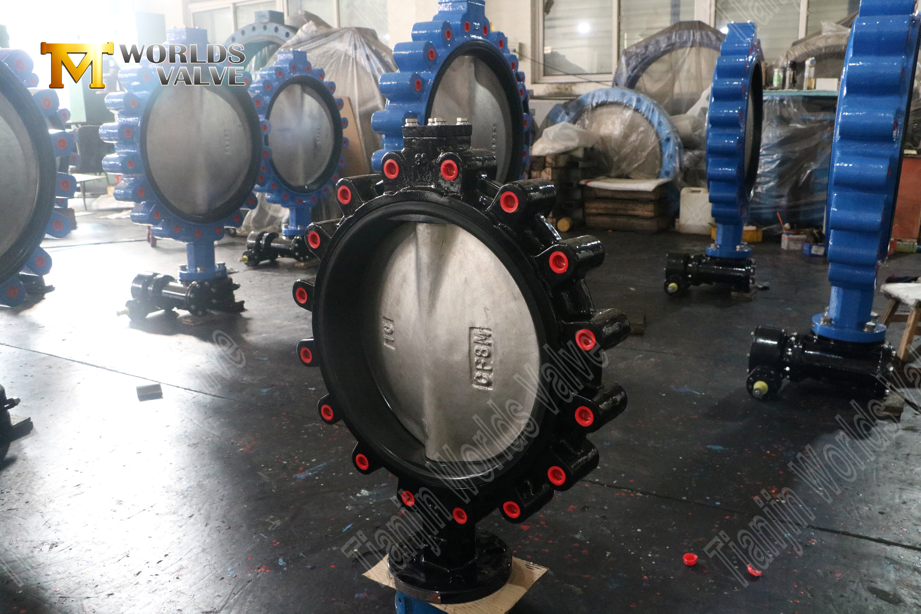 Lug-vlinderklep – CF8M-schijf, EPDM-zitting, klasse 150, OEM-fabrikant (4).jpg