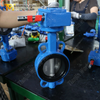 Tandwielbediende wafer-vlinderklep – vervangbare EPDM-zitting, PN10
