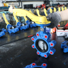Lug vlinderklep | CF8M-schijf | PN16