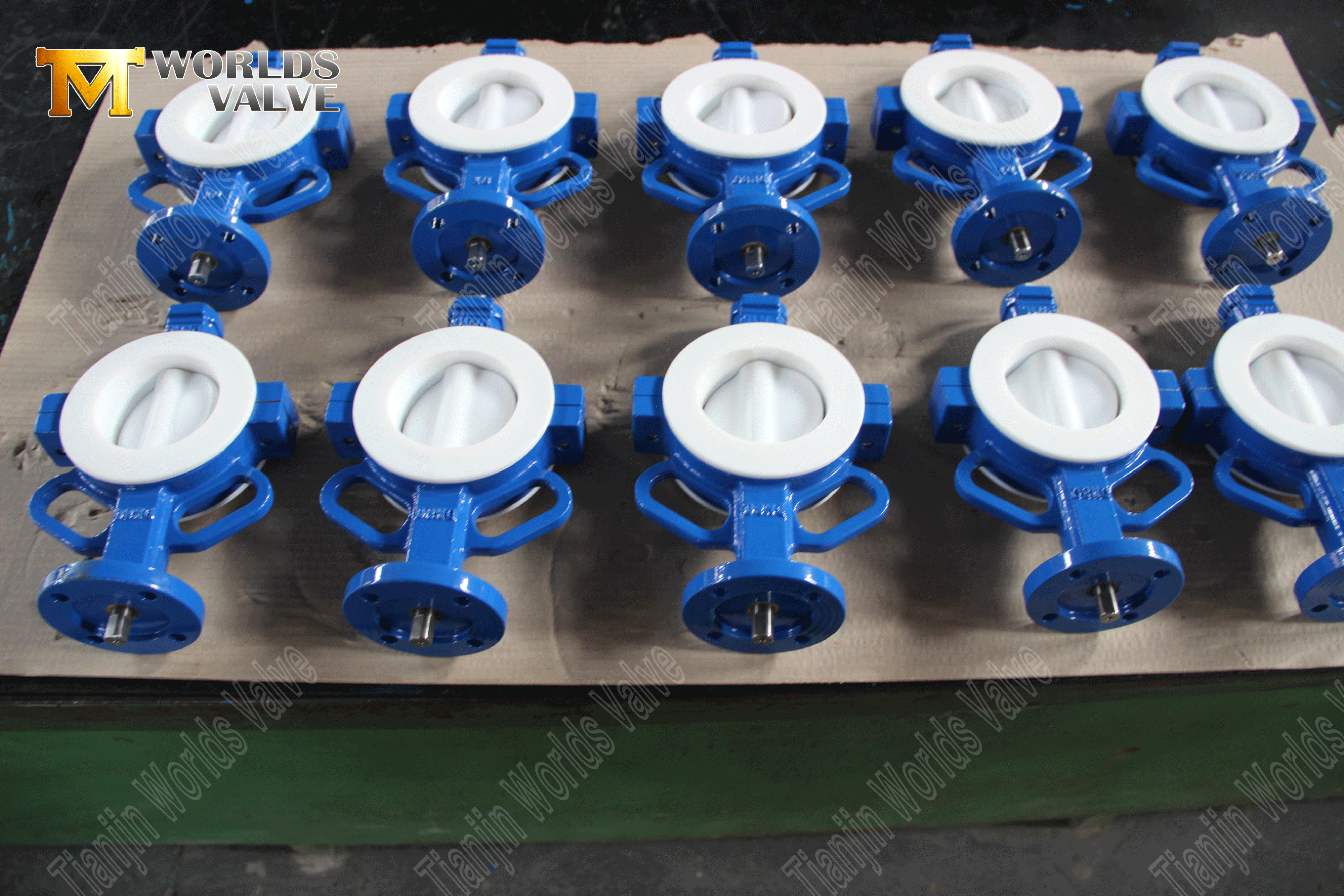 PTFE wafer vlinderklep – PTFE ingekapselde schijf, klasse 150, OEM-fabrikant (1).png