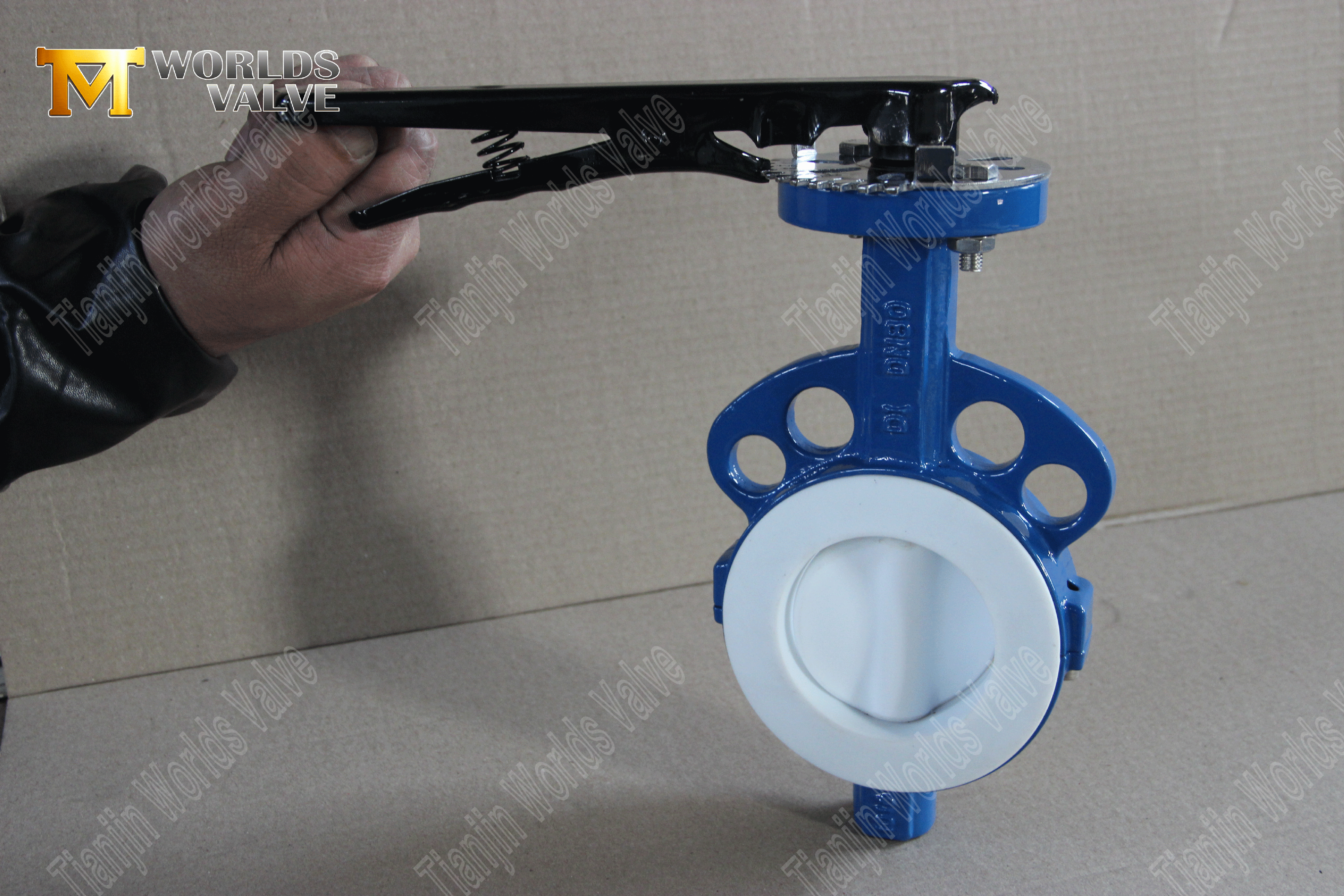 PTFE wafer vlinderklep – PTFE ingekapselde schijf, klasse 150, OEM-fabrikant (3).png