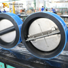 Wafer-terugslagklep met dubbele plaat - EPDM-gevoerd lichaam, CF8M-schijf, PN10, OEM-fabrikant