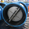 Wafer-terugslagklep met dubbele plaat - EPDM-gevoerd lichaam, CF8M-schijf, PN10, OEM-fabrikant