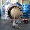 Lug-vlinderklep - NBR-zitting, CF8M-schijf, OEM-fabrikant